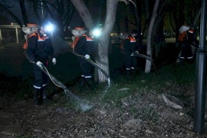 
                    Столичных жителей просят закрывать ночью окна – идут гнусоистребительные работы
                