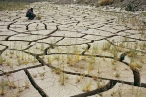 
                    Сильную засуху в мае прогнозируют синоптики в двух регионах Казахстана
                