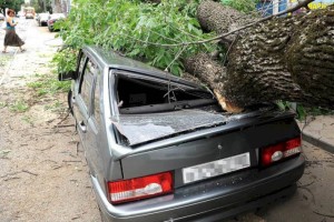 В ДЧС Алматы предостерегли горожан