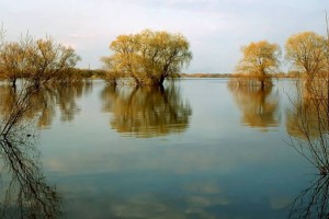 
                    Синоптики предупреждают о подъёмах уровней воды на реках
                