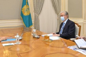 Глава государства принял директора Института языкознания Анар Фазылжанову