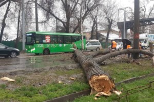 Как в Алматы ликвидируют последствия непогоды