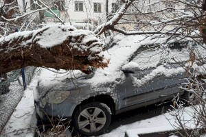 
                    Алматинцев предупредили о сильных осадках
                