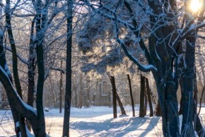 Какая погода ждет алматинцев в первый день февраля