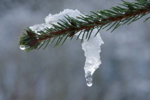 
                    Довольно теплый для зимы день ждет сегодня алматинцев
                
