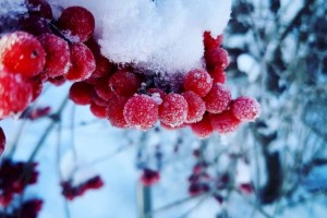 
                    Какой будет погода в Казахстане 16 декабря
                