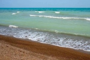 
                    Исчезновения озера Балхаш из-за строительства АЭС опасаются казахстанцы
                