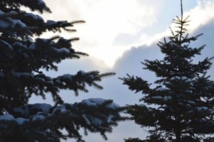 
                    Какой будет погода 3 декабря
                