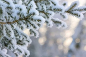
                    Какая погода ожидается в Казахстане сегодня
                