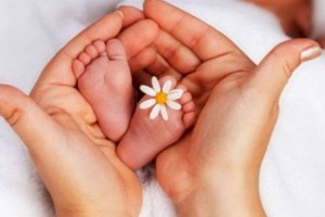 
                    Процент рождаемости по программе «Аңсаған сәби» будет на уровне 30%
                