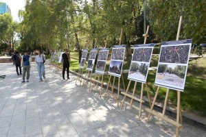 Сквер вокруг музея искусств имени Кастеева превратился в галерею под открытым небом
