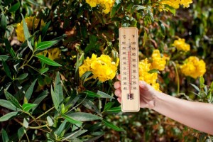 
                    Жара до 34 градусов ожидается сегодня в Алматы
                