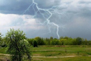 
                    Дожди с грозами ожидают казахстанцев
                