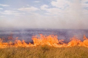 
                    Полицейский предотвратил пожар в селе Бескайнар Алматинской области
                