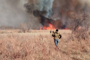 
                    Более 500 лесных и степных пожаров зарегистрировано в Казахстане в этом году
                
