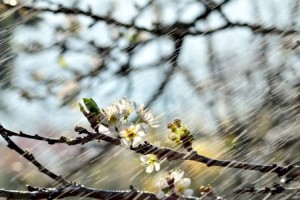 
                    Похолодание до минус 12 градусов ожидается в некоторых регионах РК
                
