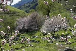 
                    Какой будет погода в апреле
                