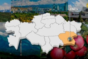 
                    Стратегическая сессия МИОР РК прошла в Алматы
                
