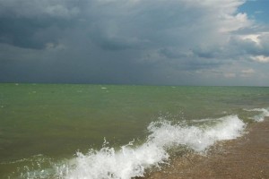 
                    В этом году начнется реализация проекта по очистке озера Шалкар
                