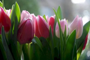 
                    Прогноз погоды в Казахстане на 8 марта
                