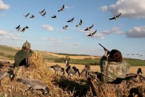 
                    В Минэкологии напомнили об ответственности за нарушение требований правил охоты
                