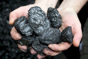 Полицейские из Текели обеспечили углем малоимущую семью