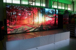 Жители Алматы могут отследить количество высаженных деревьев на LED-экранах