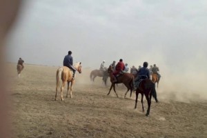 
                    Кокпар в честь сундет-тоя устроили на трассе в Алматинской области
                