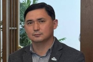 
                    АЭС: Есть только одна альтернатива
                
