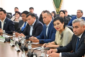 
                    Жители Жетісу готовы к новым энергетическим решениям – Народный штаб
                