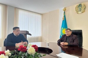 Создание ревматологического центра в Актобе рассмотрено с главным внештатным ревматологом Минздрава