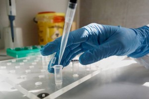
                    За сутки выявлено 753 положительных результата ПЦР-тестов
                