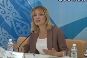 Реализация такой прозрачной программы могла бы нести положительный эффект - Дарья Чижова