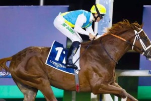 Стали известны имена соперников казахстанского жеребца Кабирхан на Dubai World Cup 2024
