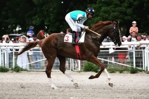Казахстанская лошадь выиграла престижные скачки в Дубае