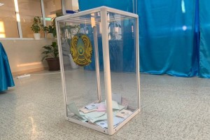 Общая явка избирателей на 14.10 составила 46,84 процента – ЦИК РК
