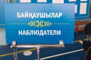 Сколько иностранных наблюдателей аккредитовано на выборы в Мажилис и маслихаты