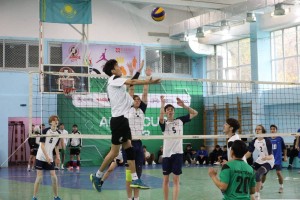 
                    В Алматы стартовал турнир ALMA CUP 2023
                