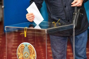 
                    В соответствии с нормами: что говорят о прошедших выборах эксперты
                