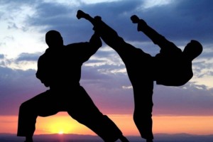 
                    Алматы примет чемпионат Азии по карате
                
