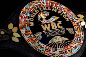 
                    Юбилейная конвенция WBC пройдет в Казахстане
                