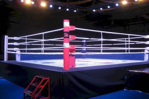 
                    Новые весовые категории включили в любительский бокс
                