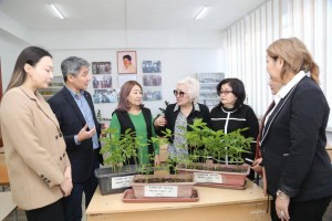 Алматинские ученые нашли способ очистить городской воздух