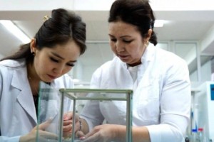 Казахстанский ученый выводит на рынок многолетнюю пшеницу