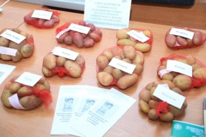 Одаренная третьеклассница из ВКО разрабатывает биоудобрение