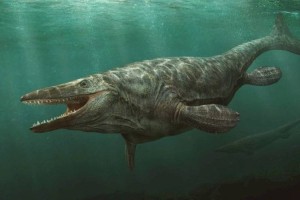 
                    Останки доисторического «морского монстра» обнаружили высоко в горах
                