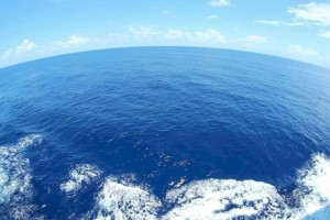 Поверхность Мирового океана нагрелась до рекордного значения