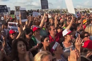 Тысячи протестующих выступают против отлова бродячих собак в Стамбуле