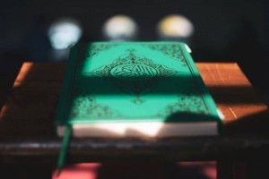 
                    В Дании запретят сжигание Корана на законодательном уровне
                