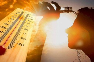 
                    Земле в будущем угрожает аномальная жара
                